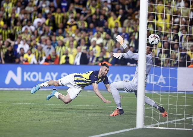 手追逐更高 手追逐更高