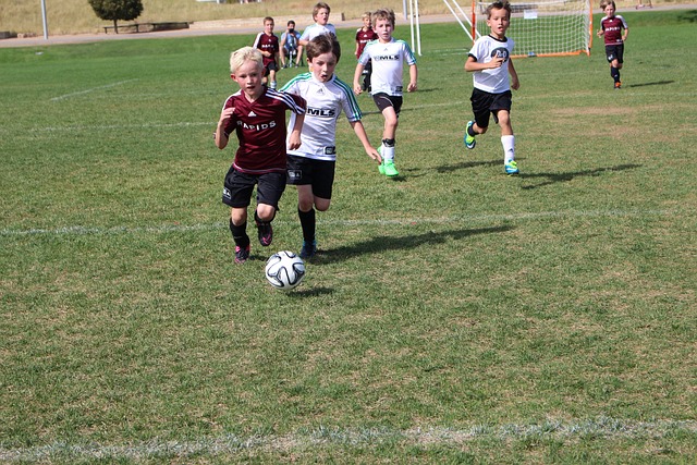 带来了巨大 带来了巨大