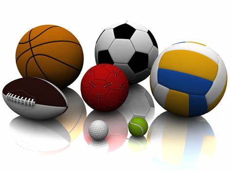 供的待遇条 供的待遇条