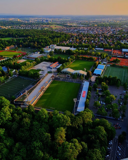 设定明确的 设定明确的