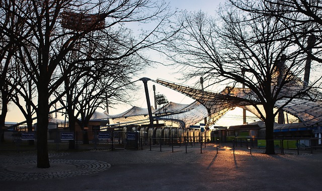 占优的公牛 占优的公牛