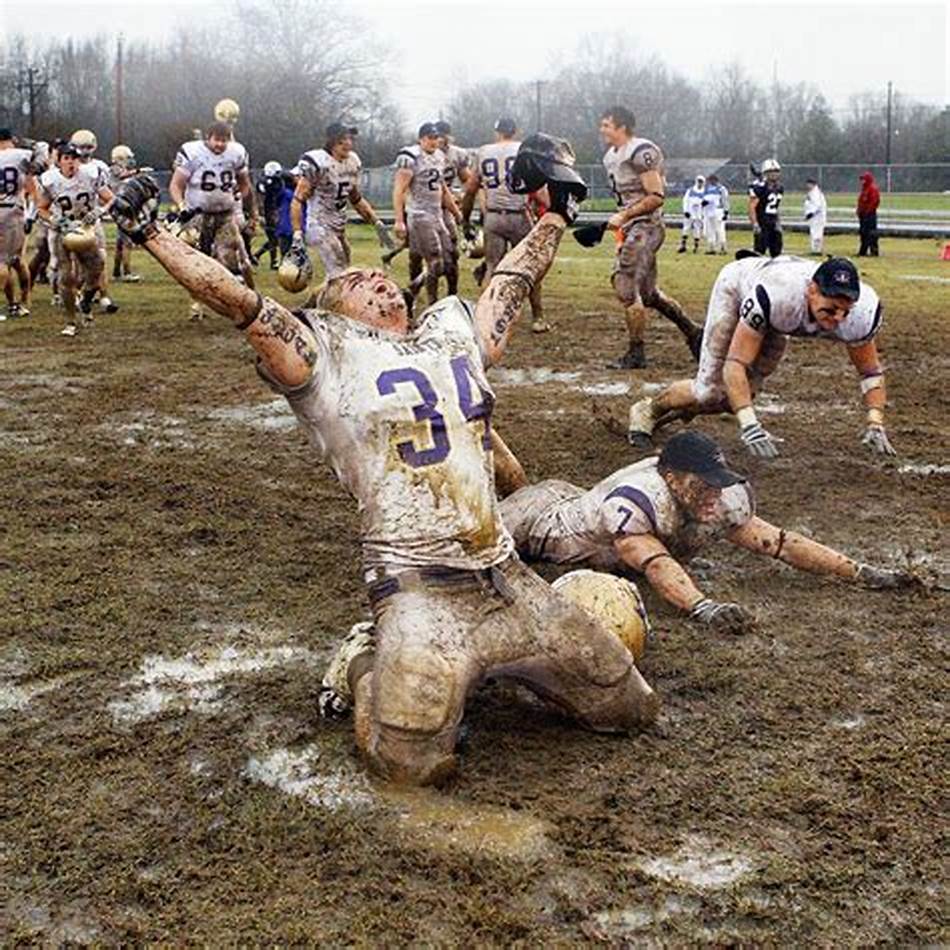 我们有理由 我们有理由