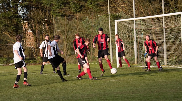 亮眼成绩单 亮眼成绩单